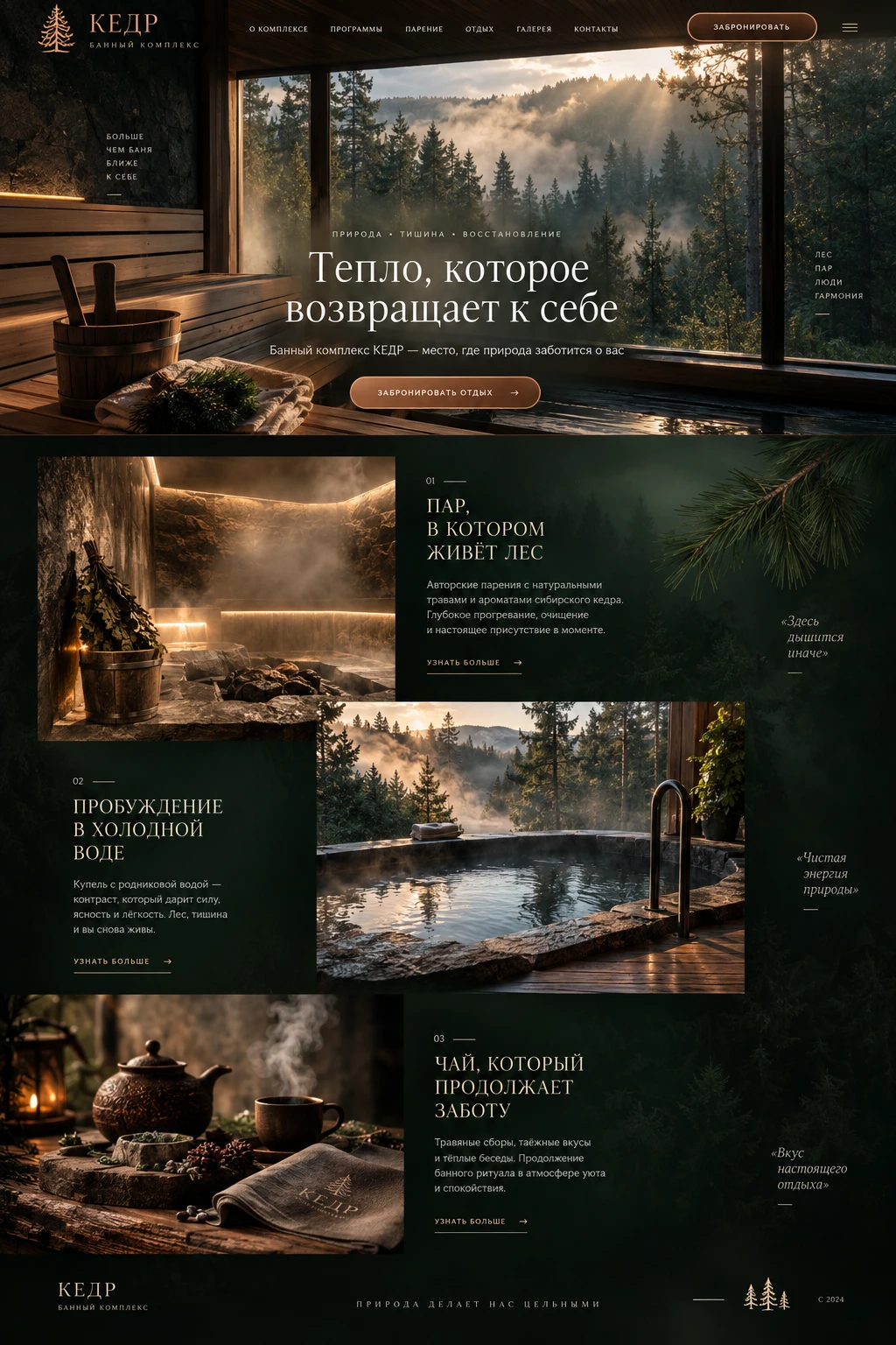 КЕДР — Главная на компьютере